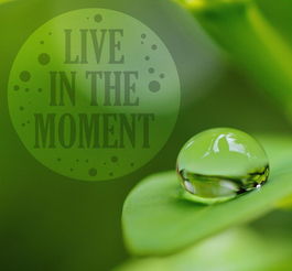 (重构理论)Ming Ri Te Gong Dui GG Xiu Gai Si Lu: 重构想法与实施策略