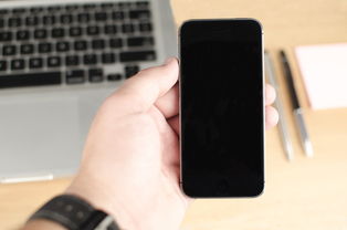 (无限内购破解软件app)探讨无限支付内购破解：解锁付费应用限制的方法