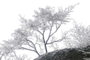 (烟雨西湖歌词全部)烟雨西湖歌曲：一首讴歌江南风情，唤起无尽惆怅与思念