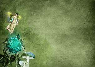 (天使之翼2 2020改版下载网站)天使之翼2各种版本下载，寻找最完美的翅膀之旅