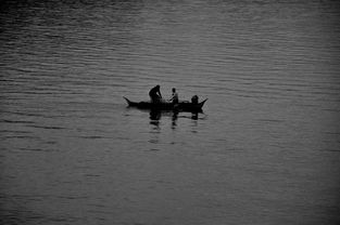 (古鱼 我的江湖)在江湖中探寻古老鱼的意涵：我的江湖古鱼于意涵第400章
