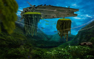 (丛林猎人赫米特有什么用)探秘神秘的丛林猎人赫米特：他背后的故事和神秘行踪是什么？