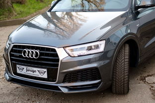 神兽金刚荣耀之战内购免费版:探索无尽挑战,免费畅享精彩玩法! 神兽金刚荣耀之战内购免费版:探索无尽挑战,免费畅享精彩玩法!