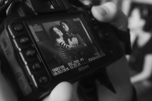 (墨影侠踪steam)探寻墨影侠踪攻略：揭秘隐藏任务、打怪技巧与装备推荐