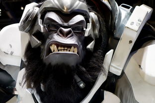 深度解析斗神之刃游戏:全新官方网站入口引领玩家体验顶级修真之旅 深度解析斗神之刃游戏:全新官方网站入口引领玩家体验顶级修真之旅