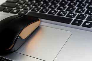 (电脑键盘数字键失灵怎么搞)解决电脑键盘数字键失灵问题的综合指南与实用技巧分享 (电脑键盘数字键失灵怎么搞)解决电脑键盘数字键失灵问题的综合指南与实用技巧分享