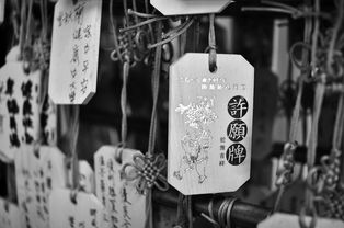 因技术原因被迫下架，玩家怀念的英雄爱三国：停运后市场反应及再度上线的可能性探讨