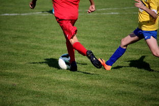 (摩洛哥足球俱乐部)摩洛哥国家足球队以7-0大胜莱索托,展现出强大的攻势和团队配合 (摩洛哥足球俱乐部)摩洛哥国家足球队以7-0大胜莱索托,展现出强大的攻势和团队配合