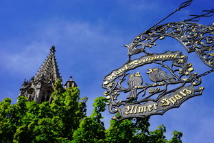 (方舟没广告)打造理想世界！方舟生存进化免广告，畅享纯净游戏体验