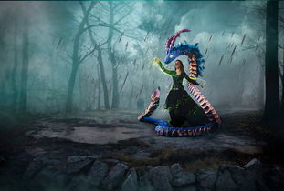 (《指挥官》)探索指挥官动画的神秘世界：从制作到播放的全方位解读