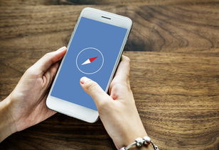 (高德地图破解精简版)高德地图导航破解版免费下载及使用技巧，畅享无广告导航体验