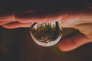 (如何优雅的和别人说再见)掌握优雅告别的艺术:如何在各种场合中得体地与他人说再见 (如何优雅的和别人说再见)掌握优雅告别的艺术:如何在各种场合中得体地与他人说再见