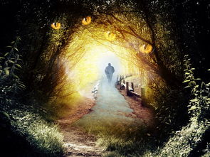 百万骑士团明境计划wiki: 探究魔法世界的神秘与奇迹,揭示隐藏在暗影中的真相 百万骑士团明境计划wiki: 探究魔法世界的神秘与奇迹,揭示隐藏在暗影中的真相