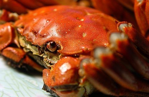 螃蟹生活免费下载-螃蟹生活2024最新中文版下载v.2.20