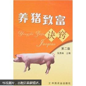 养猪致富新农村免广告国际版下载新版安装包-养猪致富新农村免广告下载中文版v.0.99