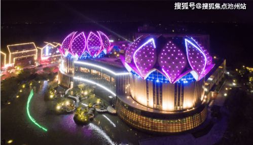 绝望的鸟无敌版-绝望的鸟最新版下载安装v.5.53 绝望的鸟无敌版-绝望的鸟最新版下载安装v.5.53