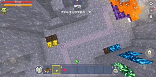 迷你世界冰原版本国际服微信小程序（暂未上线）-迷你世界冰原版本国际服下载中文版v.3.35