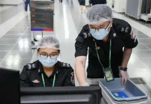 机场安检员中文版2下载-机场安检员中文版2024官方手机版下载v.2.84