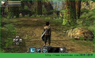 森林生存联机版红包版官方下载-森林生存联机版手游下载v.5.18 森林生存联机版红包版官方下载-森林生存联机版手游下载v.5.18