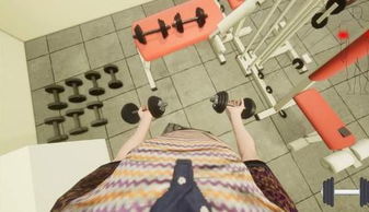 健身房模拟器中文版安卓下载-健身房模拟器中文版(玩家自制)安卓手机版下载v.7.23