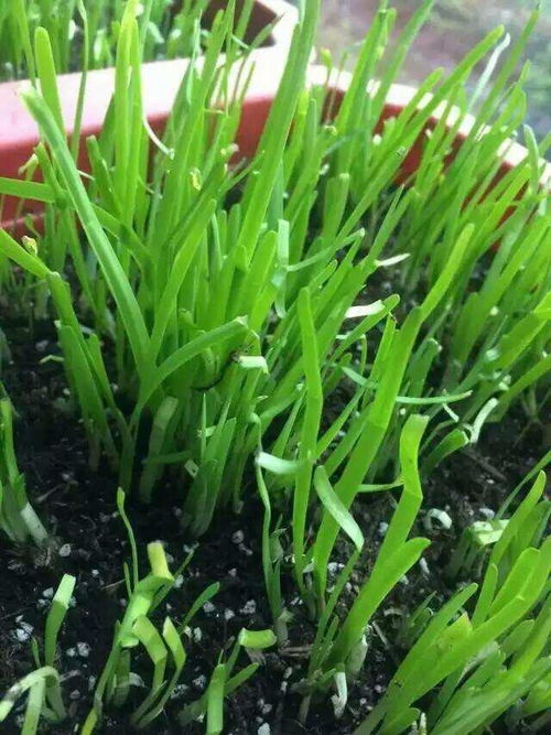 黑色走廊2最新版下载安卓-黑色走廊2下载手游v.7.55