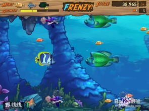 大鱼吞噬之路免广告中文最新版下载-大鱼吞噬之路无广告版安卓最新版下载v.8.78