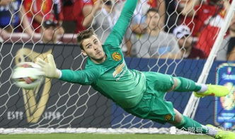 队长小翼最强十一人，最强门将卫冕之路：挑战巅峰，守护荣耀再创辉煌