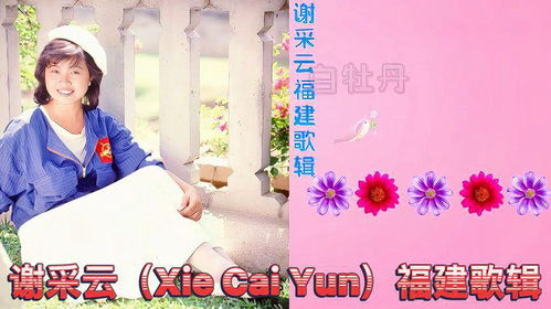 绽放星之声:最动听的主题曲辑集 绽放星之声:最动听的主题曲辑集