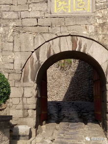 归龙潮官方网站入口:探寻华夏文明的源头之旅 归龙潮官方网站入口:探寻华夏文明的源头之旅