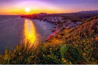 虫虫去旅行:探寻自然之美,畅游未知世界 虫虫去旅行:探寻自然之美,畅游未知世界