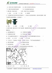 揭秘代号起源:从历史深处探寻神秘符号的诞生与演变 揭秘代号起源:从历史深处探寻神秘符号的诞生与演变