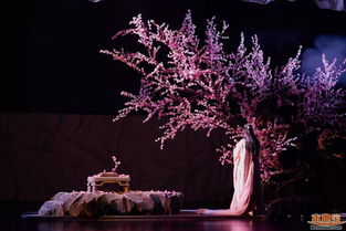 探寻《三生三世十里桃花》的魅力,百度百科揭秘剧中的奇幻世界 探寻《三生三世十里桃花》的魅力,百度百科揭秘剧中的奇幻世界