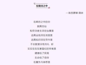 逆境之中,重组的希望与挑战:你的寄托已经寄出了吗? 逆境之中,重组的希望与挑战:你的寄托已经寄出了吗?