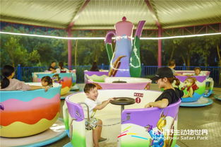 探索雅米游乐园的奇妙世界：尽享亲子乐趣与梦幻冒险的理想之地