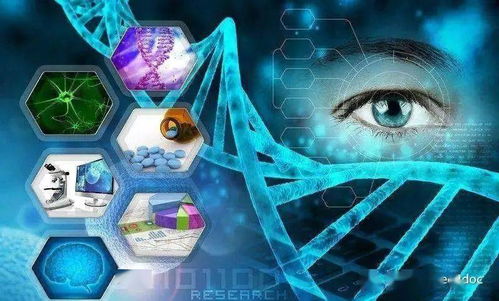 探索未知领域:科学家、神秘学者和预言家们对世界末日将在何年到来的深度研究和预测研判 探索未知领域:科学家、神秘学者和预言家们对世界末日将在何年到来的深度研究和预测研判