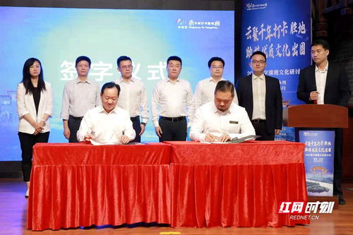 探寻RO仙境新启航官网的精彩世界