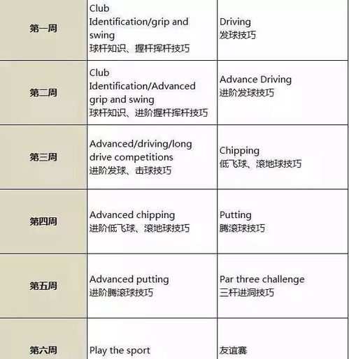 线球怎么玩：从基础规则到技巧提升，教你掌握这项有趣的运动！