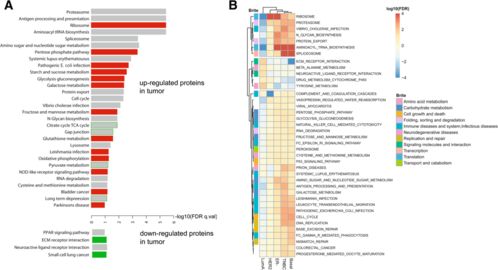 揭示:2025年新奥正版免费大全-百度同2025免费精准资料:25-42-46-10-28-22 T:22响应剖析、专家解析解释与落实,谨防误导性包装 揭示:2025年新奥正版免费大全-百度同2025免费精准资料:25-42-46-10-28-22 T:22响应剖析、专家解析解释与落实,谨防误导性包装