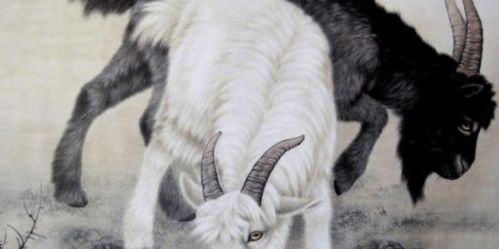 香港资料长期免费公开吗：龙、羊、狗、鼠,77788888888精准新官家-动态解答、专家解读解释与落实,防范不实的阴谋