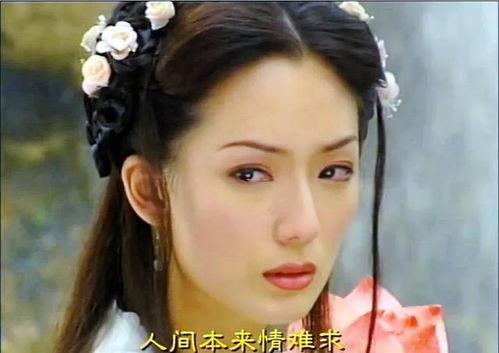 揭露:何仙姑资料免费大全与2025天天正版资料免费下载创新分析、专家解析解释与落实,抵制不实标榜坑