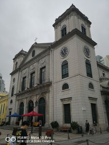 新澳一肖一马一恃一中下一期预测或大三巴一肖一特一单一双和拒绝不实的假承诺语,系统解答、专家解读解释与落实​