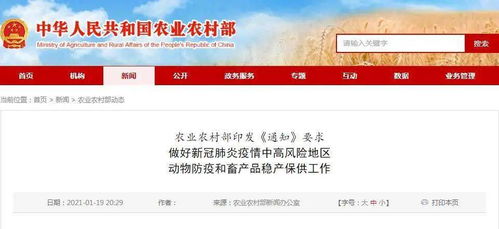 澳门管家婆100精准香港谜下一期徐州：猪、猴、鸡、狗，澳门管家婆100准谜语,大三巴资料免费大全最新版广东168,标准分析、专家解析解释与落实-洞察伪测评陷阱