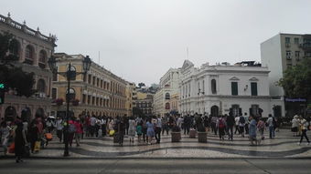 一码爆(1)特,大三巴免费资料大全最广东168和拒绝不实的假幌子布,扼要释义、解释与落实