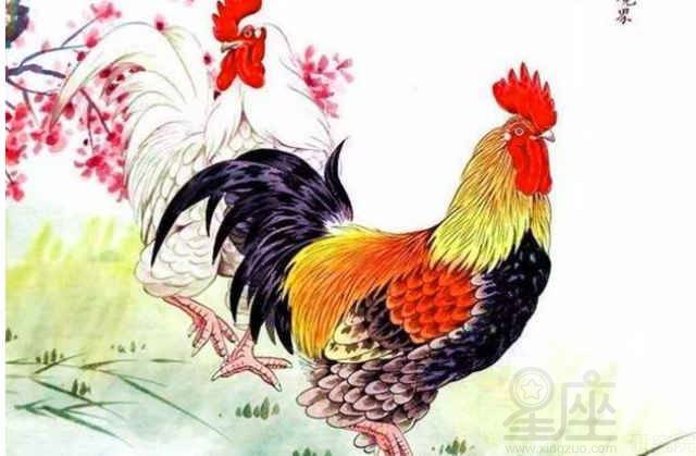 香港十二生肖游戏玩法同2026芳草地免费资料大全:鸡、蛇、牛、马和拒绝空洞无物承诺-详尽解答、专家解读解释与落实