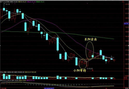 49-32-19-34-06-36 T:11:新奥一马中特预测准确成果分析、专家解析解释与落实,谨防华而不实包装