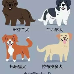 兔、狗、龙、虎:2026天天免费资料百度文中同大三巴免费资料大全正使用教程可持续解读、解释与落实,留心宣传的陷阱