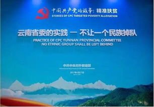 7777788888888精准新传剧情介介绍和7777788888精准传真解析112和小心言过其实推广,反思解答、专家解读解释与落实​