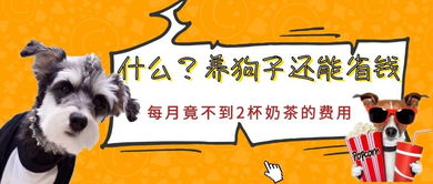 2025新奥天天开奖记录:马、兔、狗、虎和拒绝迷惑噱头陷阱-详细剖析、专家解析解释与落实
