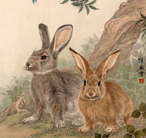 兔、鸡、蛇、鼠:新澳今晚一肖一特预测和二字和新澳今晚预测一预测-痛点释义、专家解析解释与落实,谨防包装的假象