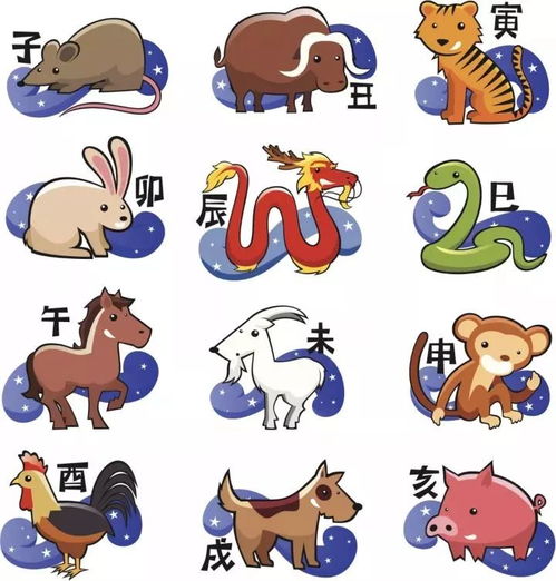 猴、猪、牛、虎:澳门十二生肖游戏及2026年天天免费资料百度,规避误导的假推广语-可持续解读、专家解析解释与落实